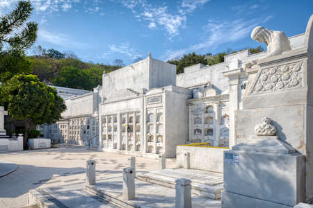 Guayaquil, Guayas, Ecuador - November, 2013: Beautiful statues, old crypts and trees at the Cementerio General (General Cemetery), on a beautiful sunny summer day.のeditorial素材