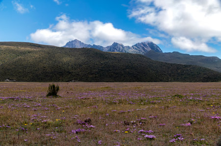 RumiÃ±ahui volcano. A rocky volcano that only preserves a small portion of its original size, with beautiful fields in the foreground, on a cloudy and sunny morning. Ecuadorの写真素材