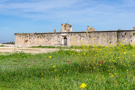 The medieval stone wall and entrance of the weathered Castillo de los Condes in ChinchÃ³n, Spain, framed by a lively field of yellow wildflowers and surrounded by a dirt roadの写真素材