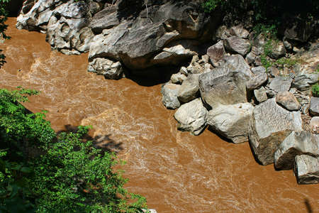 rock and river in the forestの写真素材