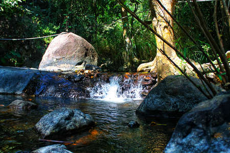 Forest river wild flow landscape  stream in the forestの写真素材