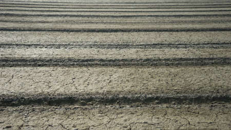 Dry soilの写真素材