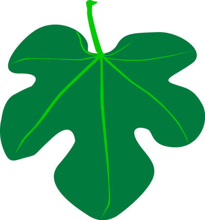 A Fig Leafのイラスト素材