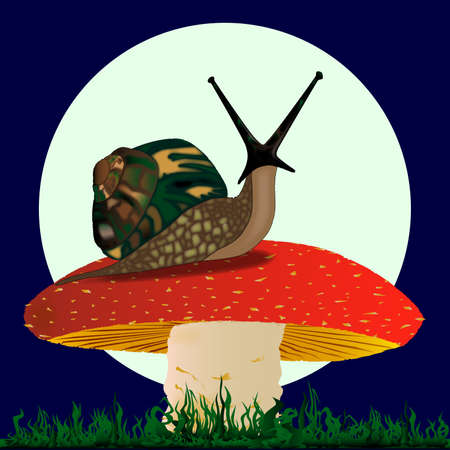 A snail basking on a mushroom under a full moon.のイラスト素材