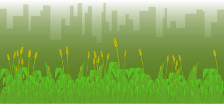 A grass footer overlooked by a misty morning cityscape のイラスト素材