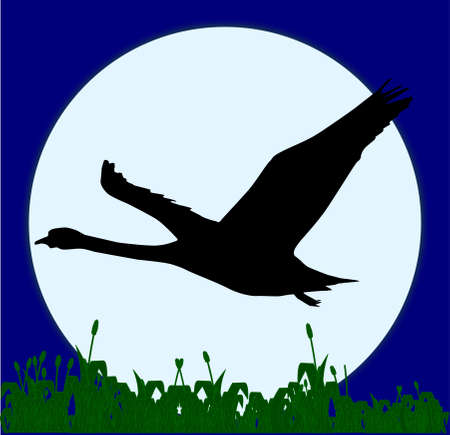 a silouette of a swan flying in front of the full moon and over a field of grass のイラスト素材
