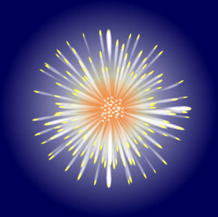 A single exploding skyrocket over a dark night skyのイラスト素材