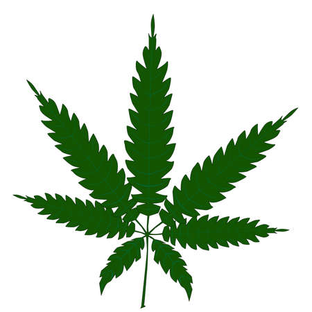 A cannabis leaf isolated over a white background のイラスト素材