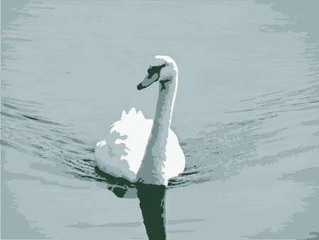 A typical swan set on a lake with ripples and reflectionのイラスト素材
