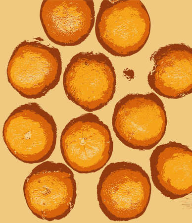 A collection of oranges in abstract styleのイラスト素材
