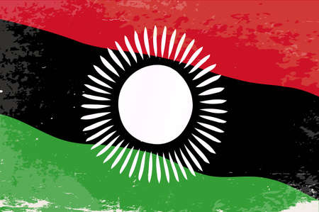 The flag of the African country of Malawiのイラスト素材