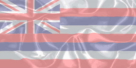 The flag of the United State state of Hawaiiのイラスト素材