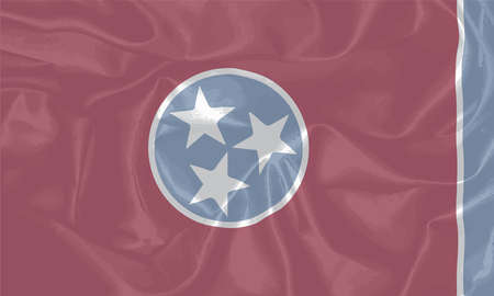 The flag of the US state od Tennesseeのイラスト素材