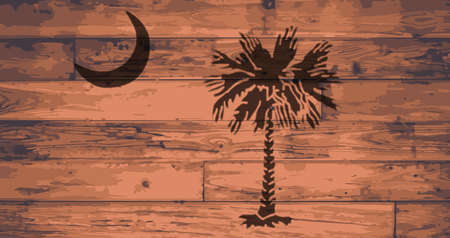 South Carolina State Flag branded onto wooden planksのイラスト素材