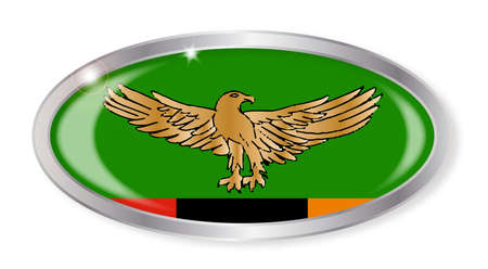 Oval silver button with the Zambia flag isolated on a white backgroundのイラスト素材