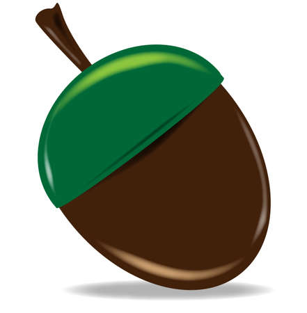 An cartoon style acorn nut over a white backgroundのイラスト素材