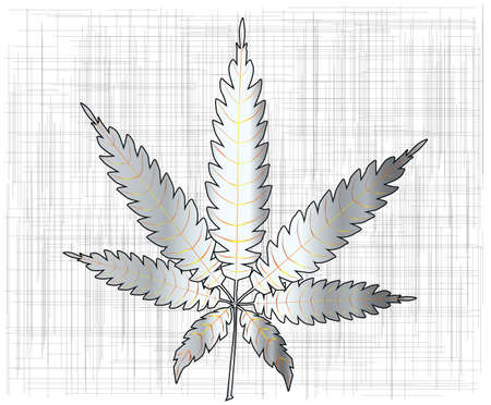 A cannabis leaf isolated over a white background.のイラスト素材