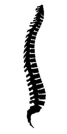 Silhouette spine isolated on a white backgroundのイラスト素材