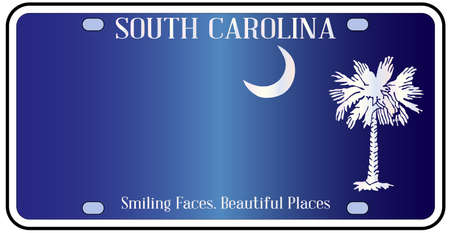 South Carolina state license plate in the colors of the state flag with icons over a white backgroundのイラスト素材