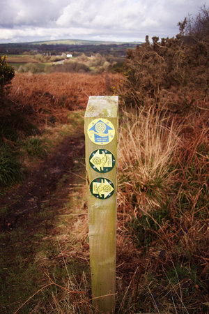 A footpath and bridleway wooden post sign in both English and Welshのeditorial素材
