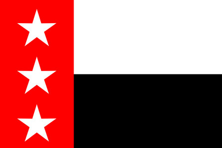 The flag of the city in Texas of Laredo with and also the Republic of the Rio Grandeのイラスト素材