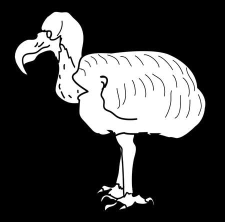 Line drawing in white on black of the now extinct dodo birdのイラスト素材