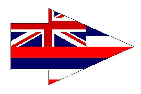 The flag of the State of Hawaii set within a pointer arrowのイラスト素材