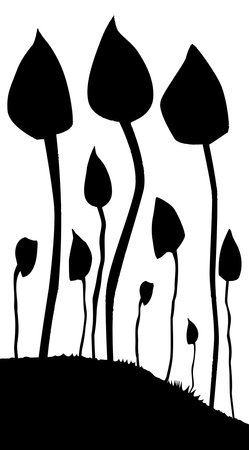 A group of mushrooms silhouetted against a white backgroundのイラスト素材