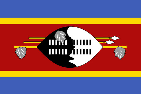 The flag of the African country of Eswatiniのイラスト素材