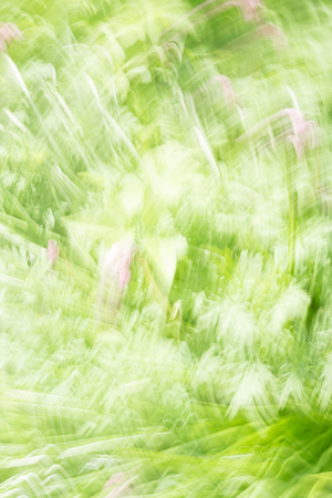 Abstract pattern of different shades of green colorの写真素材