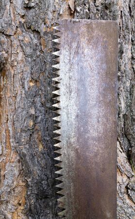Blade handsaw on background of tree trunk.Small depth of field