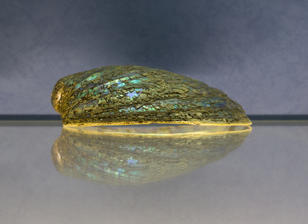 Nacreous shell is on glass and its symmetrical reflection.Small depth of fieldの写真素材