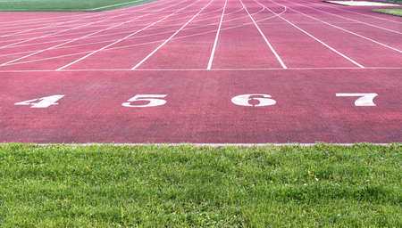 Stadium running track with marking lines and coating of crumb rubber. Green grass in foregroundの写真素材
