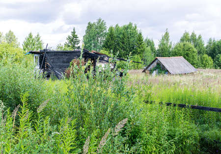 Remains of wooden country house after conflagration in abandoned suburban plotの写真素材