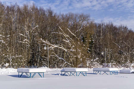 Table tennis  playground covered with pure fluffy snow after snowfall. There is a snowy forest in the background. winter sunny dayの写真素材
