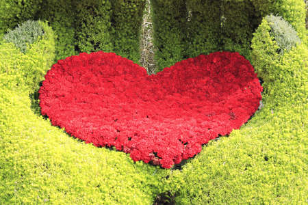 Hand-type plants sculpture  embracing love of red carnation flowersの写真素材