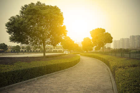 Empty curved road in the woodsの写真素材