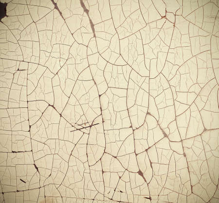 Decorative of frayed rough ground  background

の写真素材