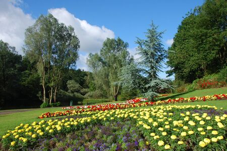 Floral Displayの写真素材