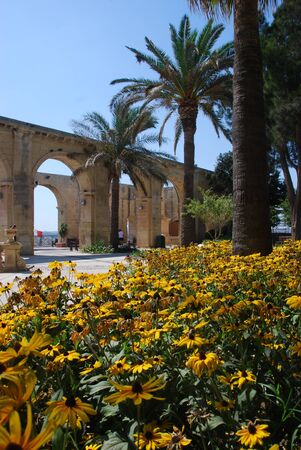 Floral Displayの写真素材