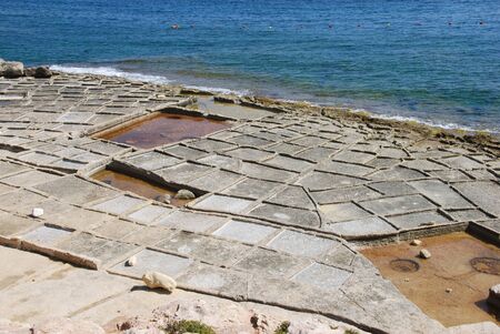 Salt Pansの写真素材