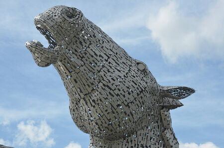 Kelpie Headのeditorial素材