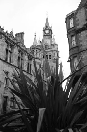 Townhouseのeditorial素材