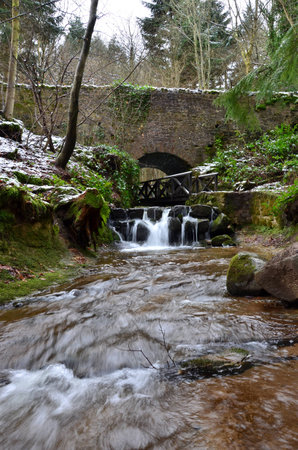 Stream in Woodsの写真素材