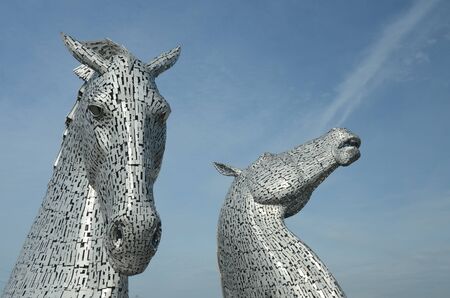 Kelpie Headsの写真素材