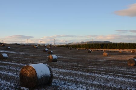 Winter Fields