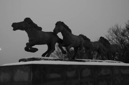 Horses Sculptureの写真素材