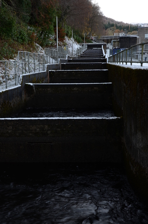 Fish Ladderの写真素材