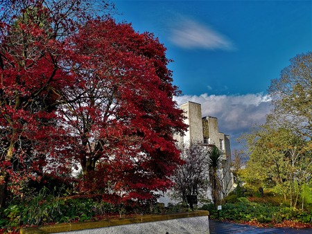 A view of the autumnal colours in Bellahouston park in Glasgow