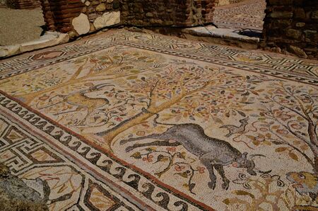 A view of the ruined architecture of the ancient city of Heraclea Lyncestis near Bitola in North Macedonia.の写真素材
